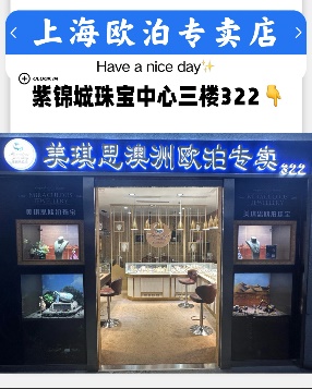 上海丽都珠宝店